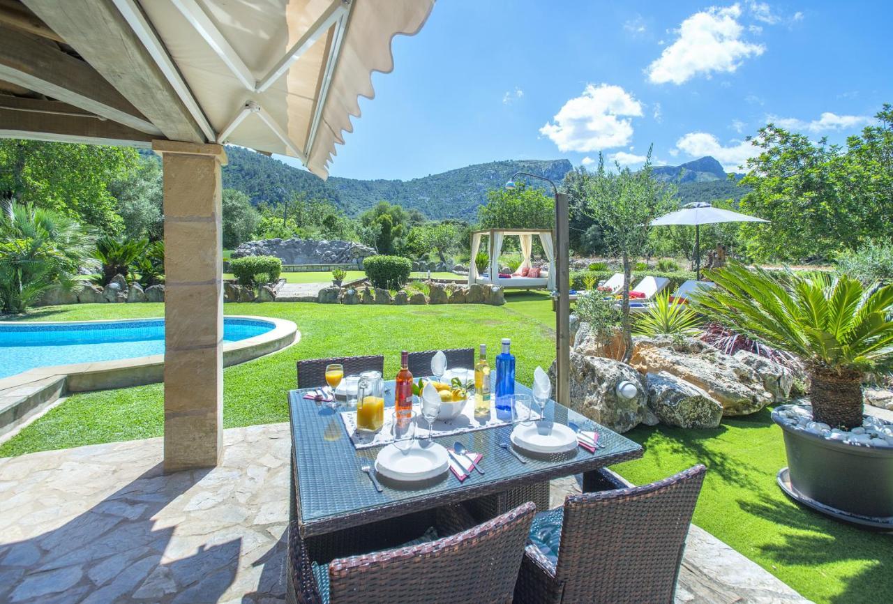 Owl Demana - Retreat In The Midst Of Nature * Pollenca