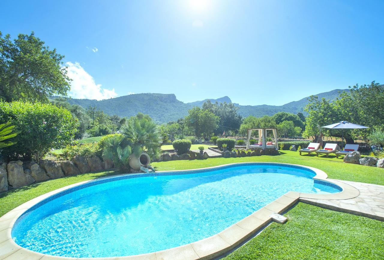 Owl Demana - Retreat In The Midst Of Nature Pollenca