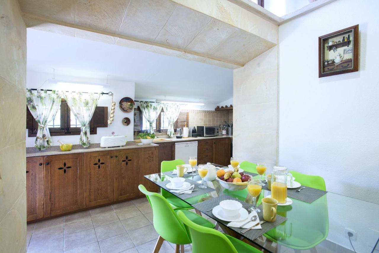 Owl Demana - Retreat In The Midst Of Nature *