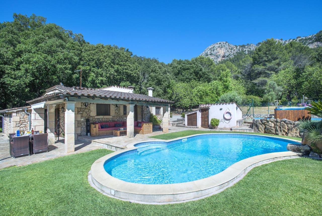 Owl Demana - Retreat In The Midst Of Nature Pollenca
